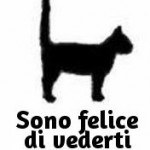 coda_felice