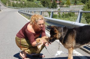 Chi ha detto che cani e gatti non vanno d'accordo