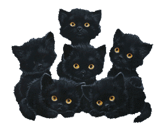 Gif-gattini
