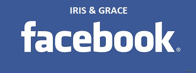 facebook-logoVS-g_001