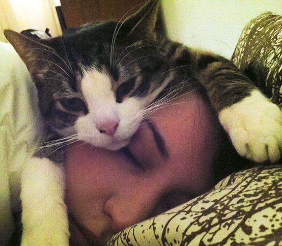 Sonni sereni dormire con un gatto fa bene