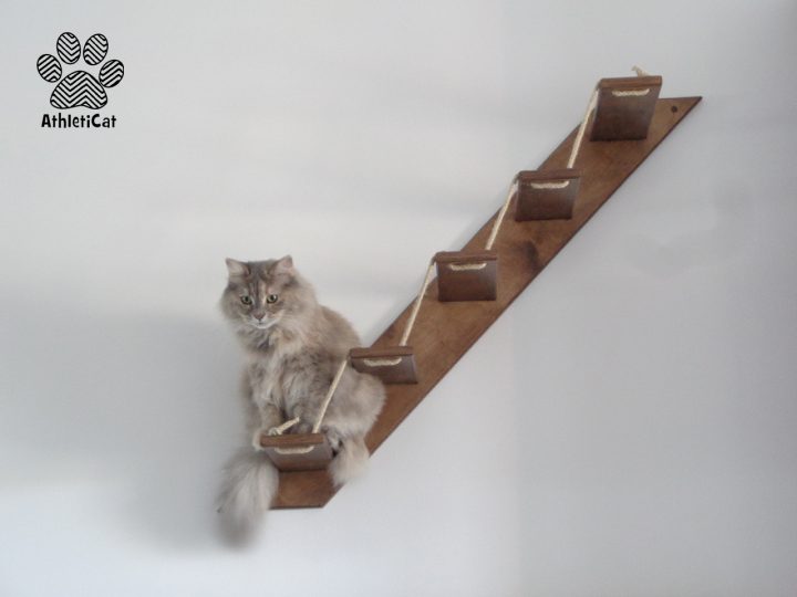scaletta-per-gatti-legno-masha-720x540