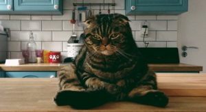 stephen-gatto-seduto-instagram
