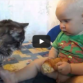 Gatto e bambino fanno merenda insieme