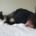 Sonni sereni dormire con un gatto fa bene