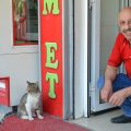 Macellaio turco diventa ricco e famoso grazie a un gatto