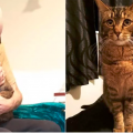 L’emozione di un incontro: il gatto portato in visita al suo precedente proprietario ricoverato in una casa di cura