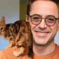 Innamorarsi di un “gattaro”: 10 motivi per farlo