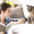 Scegli un gatto e scopri qualcosa della tua personalità