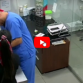 Un gatto coraggioso corre in soccorso di un cane dal veterinario
